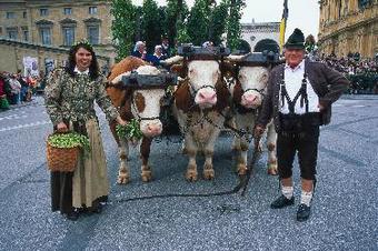 Jongerenreizen in Ierland met andere singles
