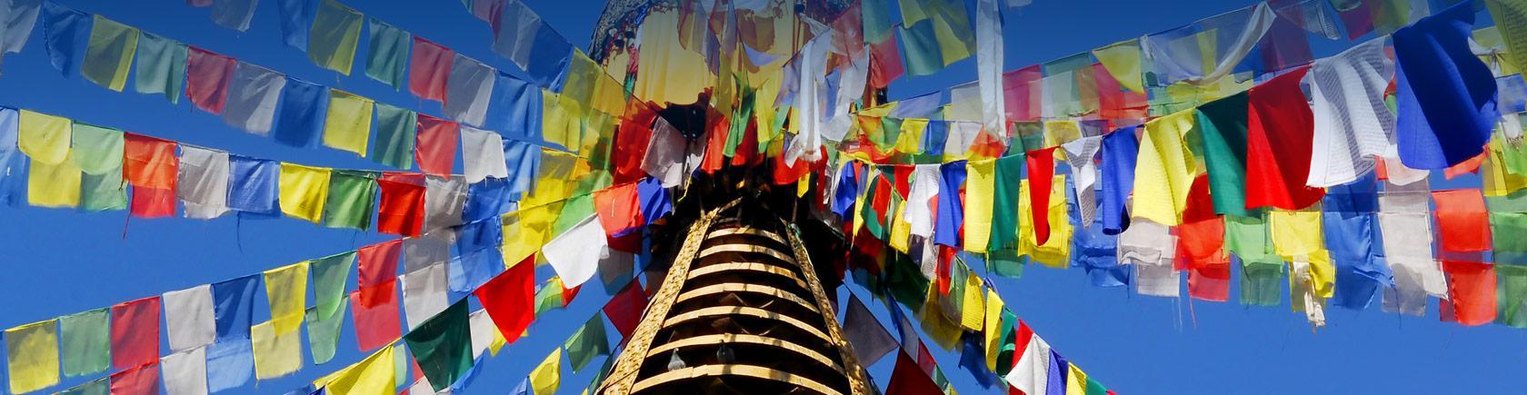 Ontdek Nepal met andere singles
