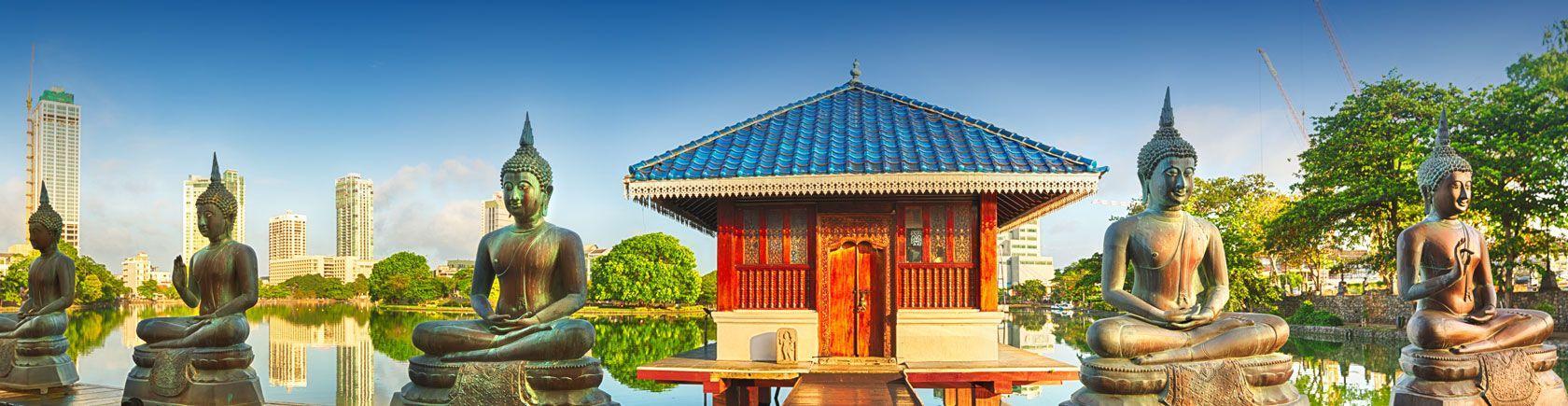 Ontdek Sri Lanka met andere singles
