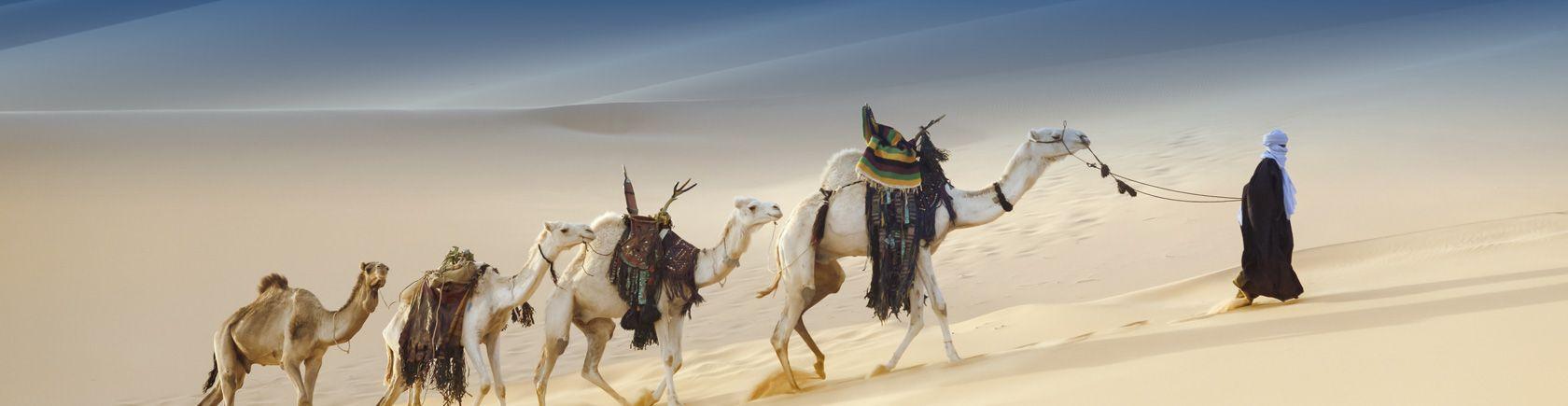 Ontdek Verenigde Arabische Emiraten met andere singles