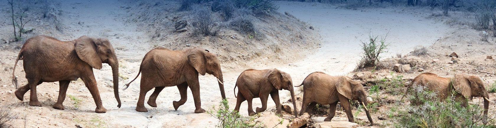 Ontdek Zuid-Afrika met andere singles