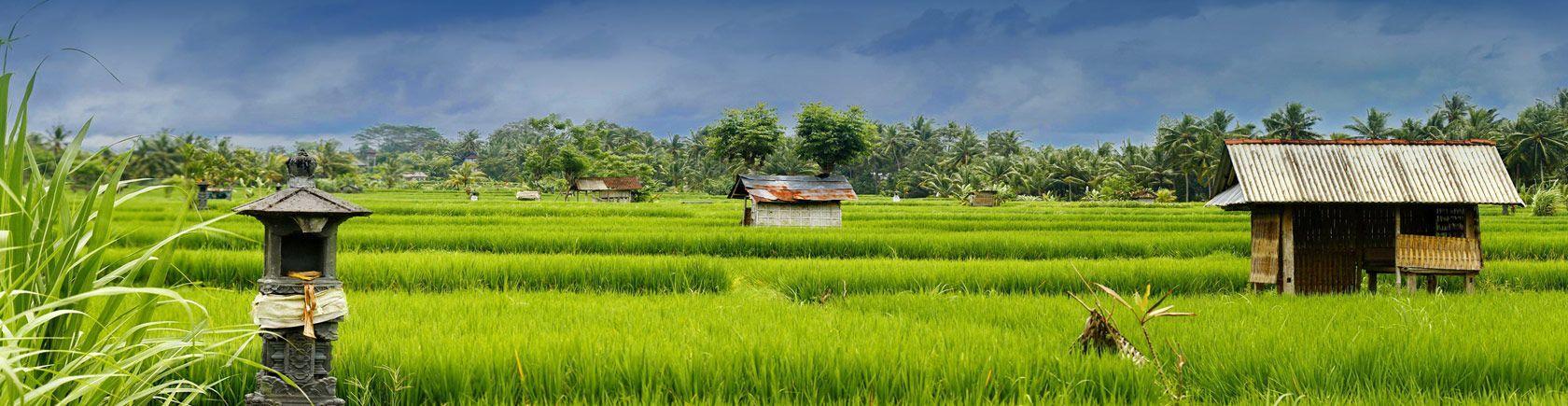 Ontdek Indonesië met andere singles
