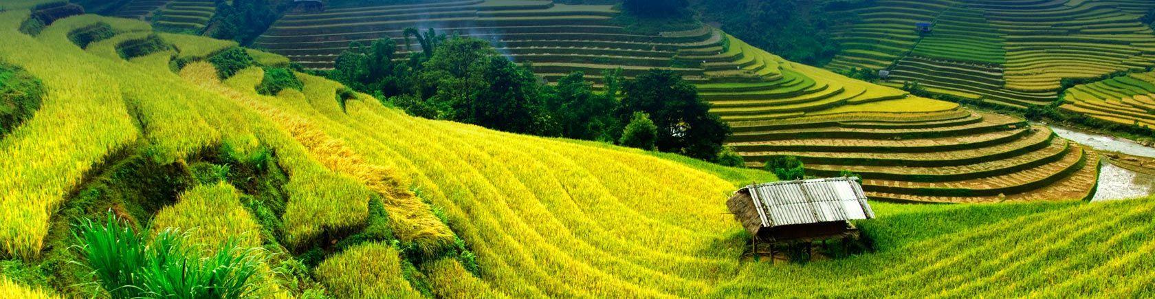 Ontdek Vietnam met andere singles
