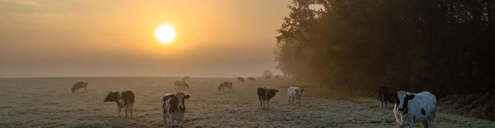 Ontdek Nederland met andere eenouders
