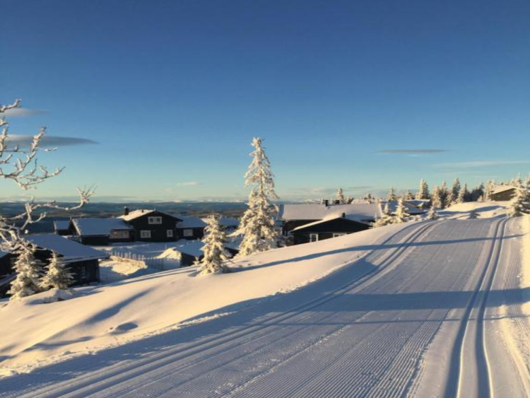 Cabin Sjusjøen foto 4