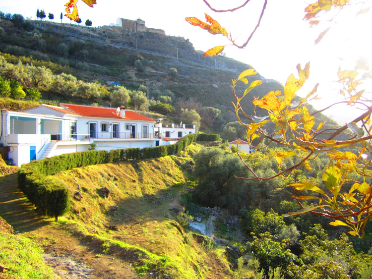 Finca Floretta foto 1